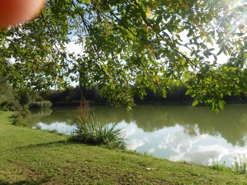 Exklusives Freizeit- und Investitionsobjekt: Gepflegter Angelsee in Top-Lage bei Pécs (KK001-2)