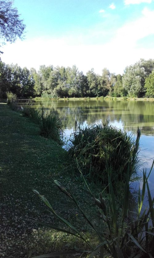 Exklusives Freizeit- und Investitionsobjekt: Gepflegter Angelsee in Top-Lage bei Pécs (KK001-2)