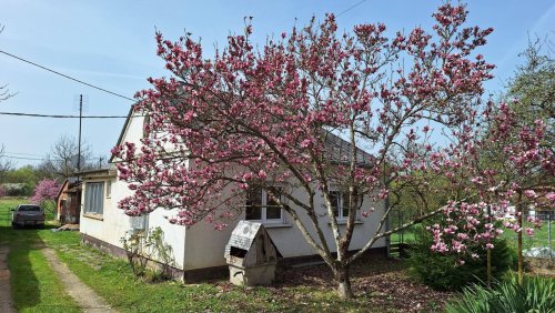 (BBA) Teilrenoviertes Einfamilienhaus in einer Ruhiger Lage (RV1500)