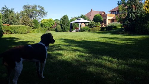 (AAA) Landhaus mit parkähnlichem Grundstück in außergewöhnlich guter Lage am Rand des Naturschutzgebietes (KK052)