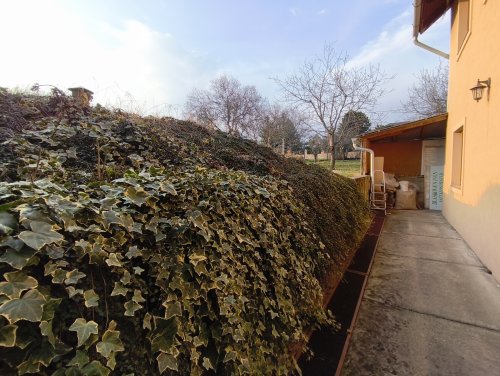 (AAA) Landhaus mit parkähnlichem Grundstück in außergewöhnlich guter Lage am Rand des Naturschutzgebietes (KK052)