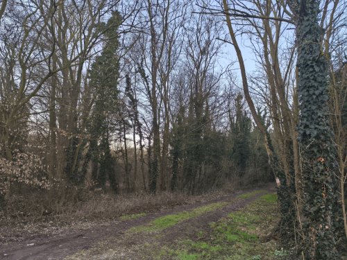 Renovierungsbedürftiges  Herrenhaus in ruhigen, harmonischer Waldumgebung (KK227)