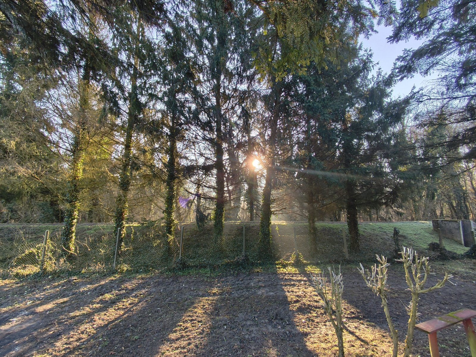 Renovierungsbedürftiges  Herrenhaus in ruhigen, harmonischer Waldumgebung