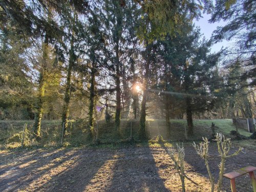 Renovierungsbedürftiges  Herrenhaus in ruhigen, harmonischer Waldumgebung (KK227)