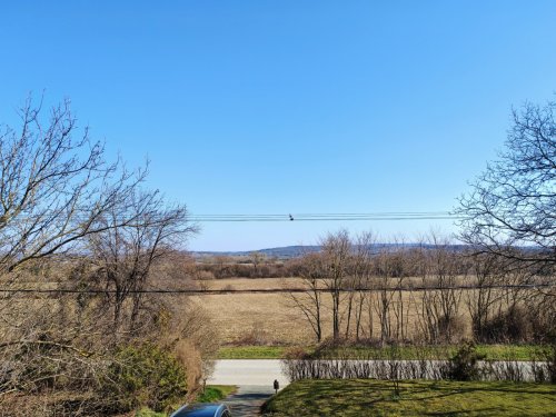 (BAA) Solides Landhaus am Weinberg &amp; zusätzliche Pinze (CM190-5)