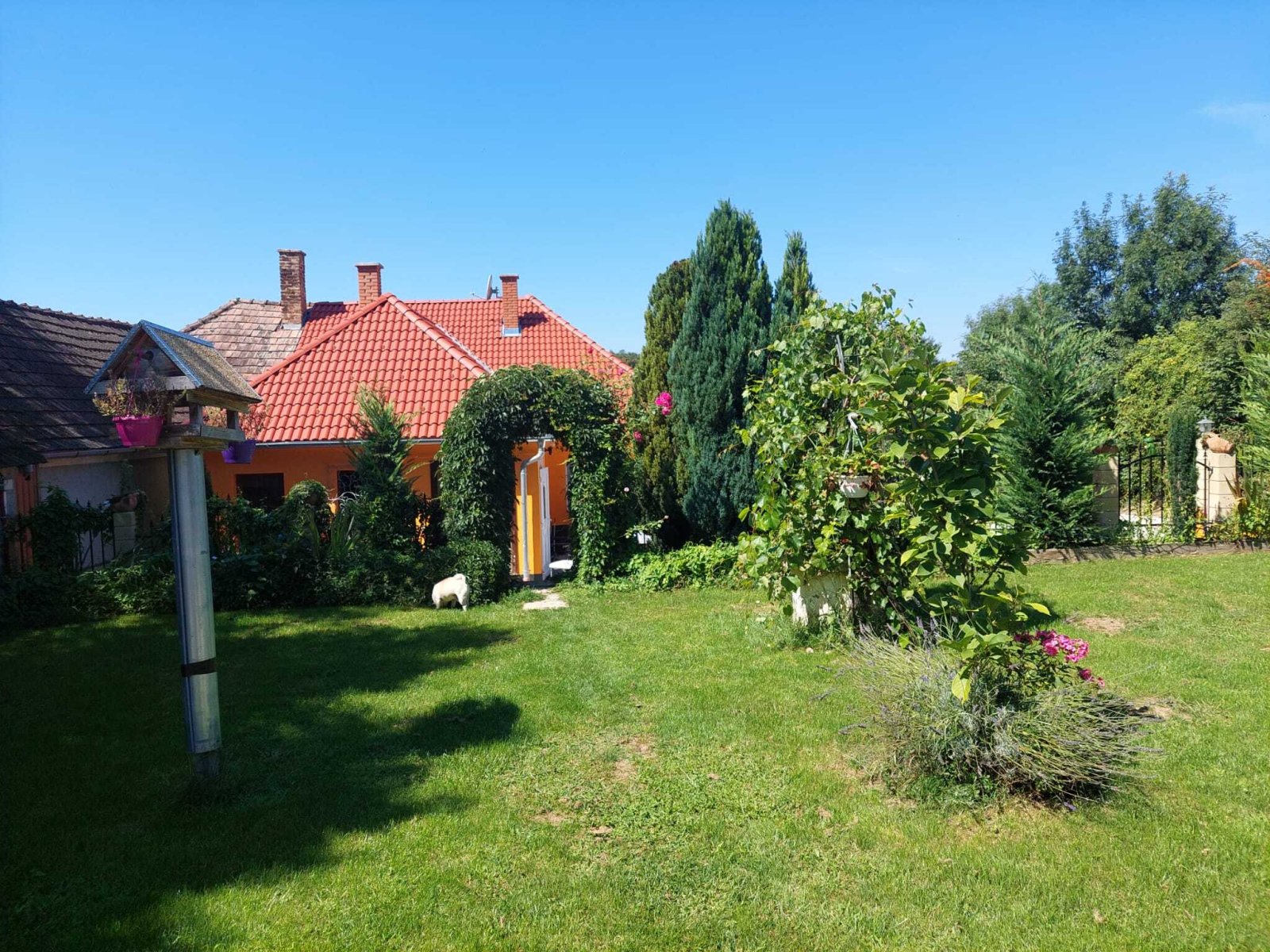 (BBA) Landhaus mit großem Grundstück bei Héviz