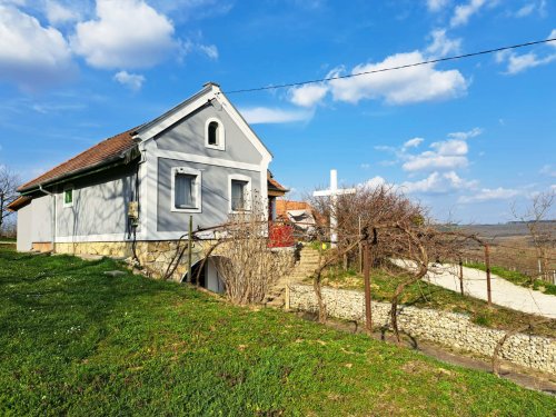 (AAA) Renoviertes Weinberghaus in ruhiger Lage (KK1948)