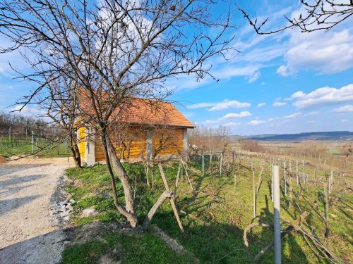(AAA) Renoviertes Weinberghaus in ruhiger Lage (KK1948)