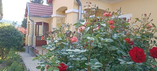 (AAA) Liebevoll renoviertes Bauernhaus in ruhiger Lage mit getrennten Apartment (AAA) (WH1158-2)