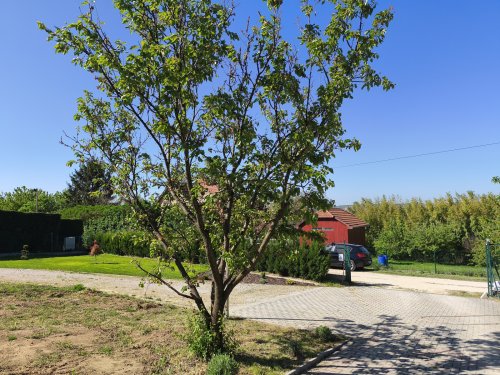 (AAA) Familienhaus mit parkähnlichem Grundstück in außergewöhnlich guter Lage (KK1704-M)