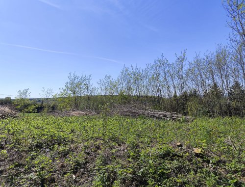 Panoramagrundstück im wunderschönen Vendvidék: Nationalpark Őrség (RV0432)