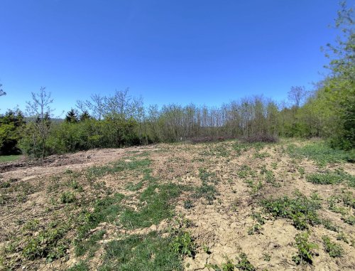 Panoramagrundstück im wunderschönen Vendvidék: Nationalpark Őrség (RV0432)