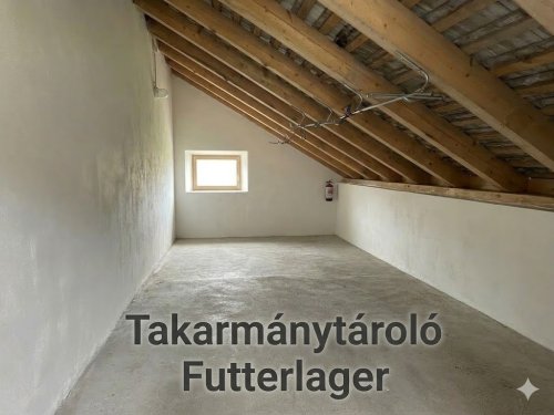 (AAA) Wunderschön renoviertes, einzigartiges Landhaus mit Nebengebäude (FB0506)
