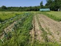 (BBB) Landhaus / Bauernhaus mit fantastischem Bauerngarten ideal für Selbstversorger (CM033-M3)