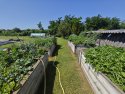 (BBB) Landhaus / Bauernhaus mit fantastischem Bauerngarten ideal für Selbstversorger (CM033-M3)