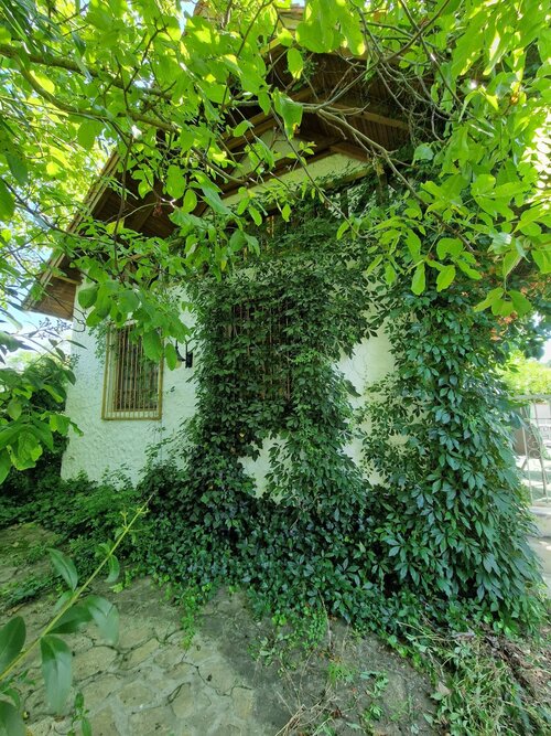 (ABA) Solides Landhaus mit großem Grundstück bei Heviz (CM031-5)
