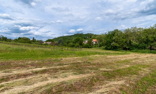 (BCA) Weinberghaus in ruhiger Lage bei Héviz, mit grossen Grundstück (77613)