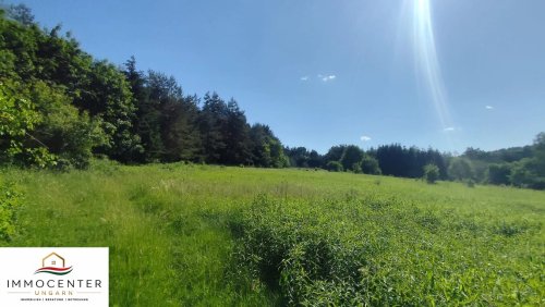 (B_A) Echte Rarität! 2,8 Hektar in einzigartiger Umgebung am Nationalpark (RV0604)