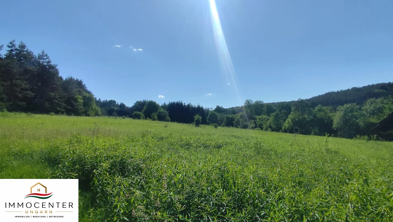 (B_A) Echte Rarität! 2,8 Hektar in einzigartiger Umgebung am Nationalpark