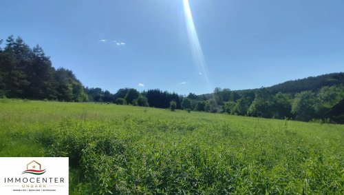 (B_A) Echte Rarität! 2,8 Hektar in einzigartiger Umgebung am Nationalpark (RV0604)