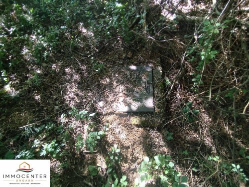 (B_A) Echte Rarität! 2,8 Hektar in einzigartiger Umgebung am Nationalpark (RV0604)