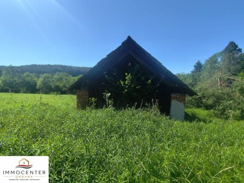 (B_A) Echte Rarität! 2,8 Hektar in einzigartiger Umgebung am Nationalpark (RV0604)