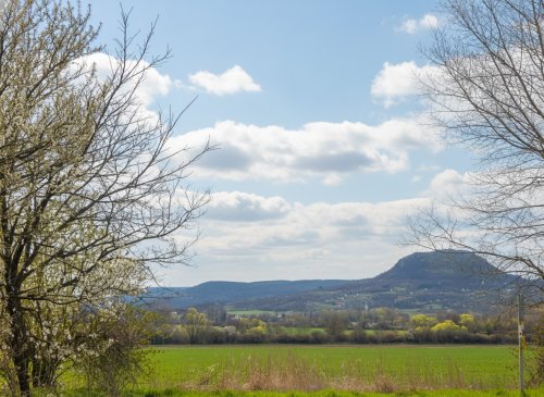 (ABA) Weinberg Pinze mit Panoramablick (EH009)