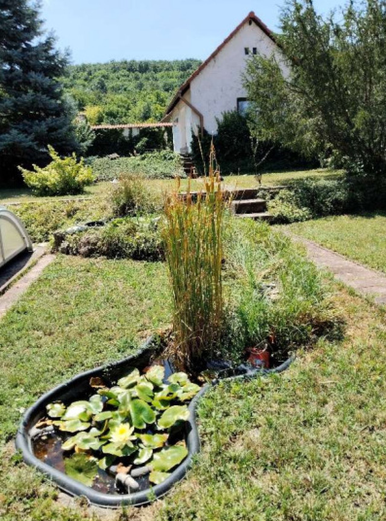 Großzügiges Wohnhaus mit 3 Einheiten, Pool und parkähnlichem Garten (CM225)