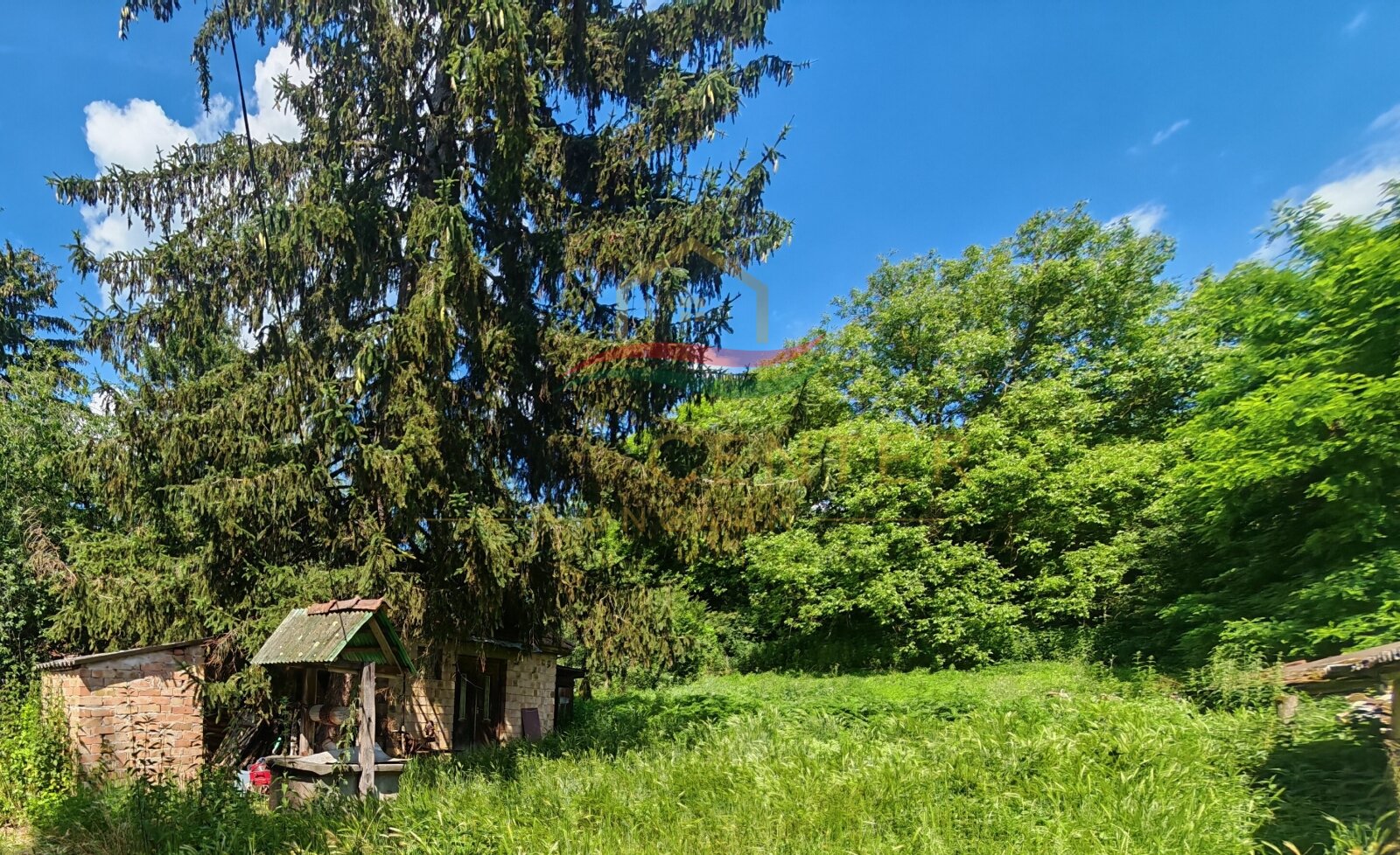 (BCA) 2 sanierungsbedürftige Häuser auf einem großem Grundstück (BB8352)