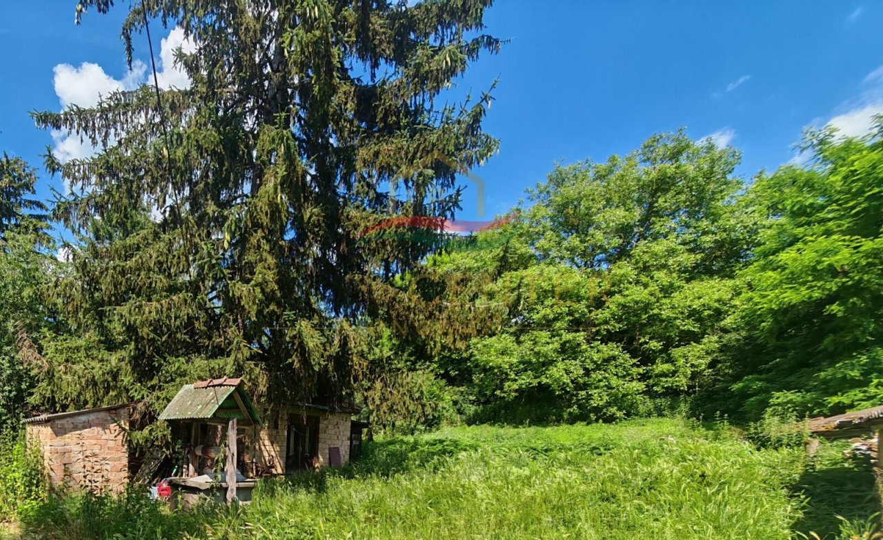 (BCA) 2 sanierungsbedürftige Häuser auf einem großem Grundstück (BB8352)