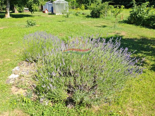 (BAA) Perfektes Zweifamilienhaus in hervorragendem Zustand mit großem Grundstück / Wald ideal für Selbstversorger (CM081-2)