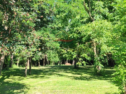 (BAA) Perfektes Zweifamilienhaus in hervorragendem Zustand mit großem Grundstück / Wald ideal für Selbstversorger (CM081-2)
