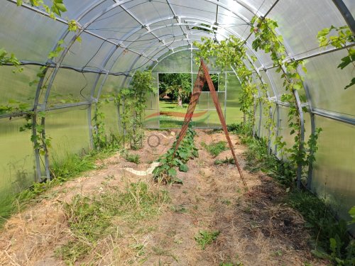 (BAA) Perfektes Zweifamilienhaus in hervorragendem Zustand mit großem Grundstück / Wald ideal für Selbstversorger (CM081-2)