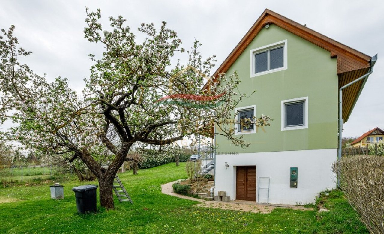 (AAA) Einfamilienhaus oberhalb von Héviz in ruhiger Weinberg-Lage (33897)
