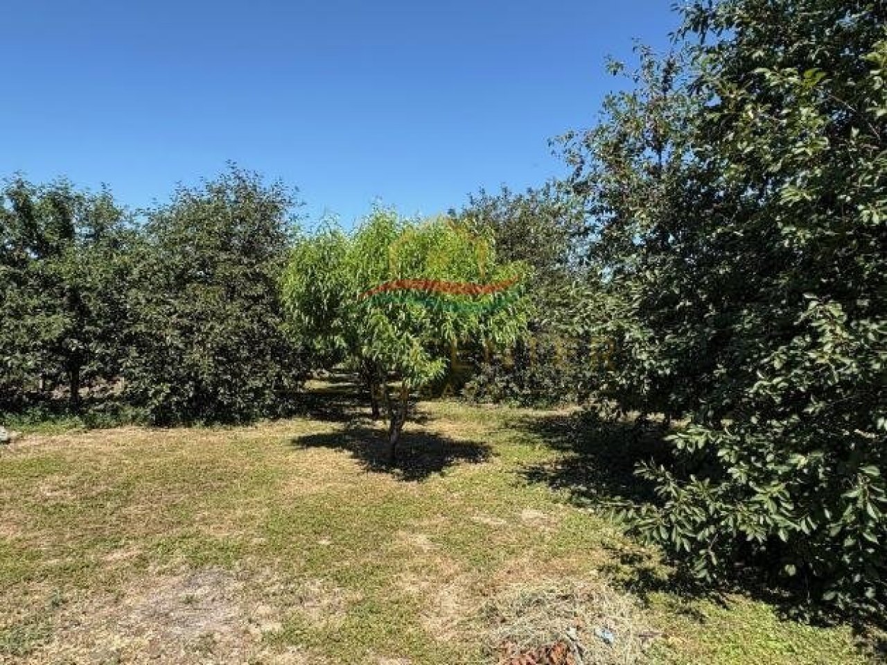 (BAA) Renovierter Bungalow in ruhiger, naturnaher Lage (KK0702)