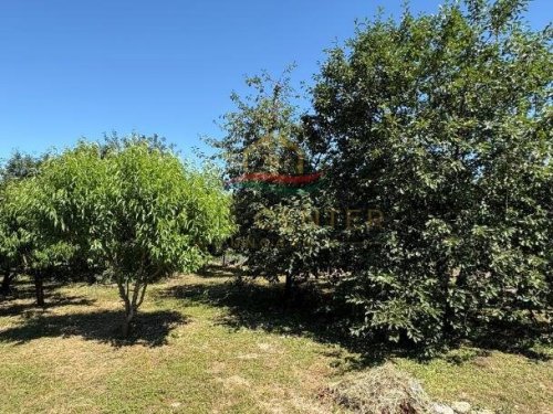 (BAA) Renovierter Bungalow in ruhiger, naturnaher Lage (KK0702)