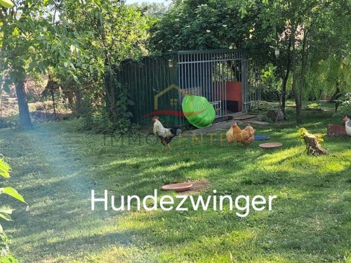 (BAA) Bio-Bauernhof in idyllischer Lage des südlichen Balaton-Hinterlandes (FB4445)