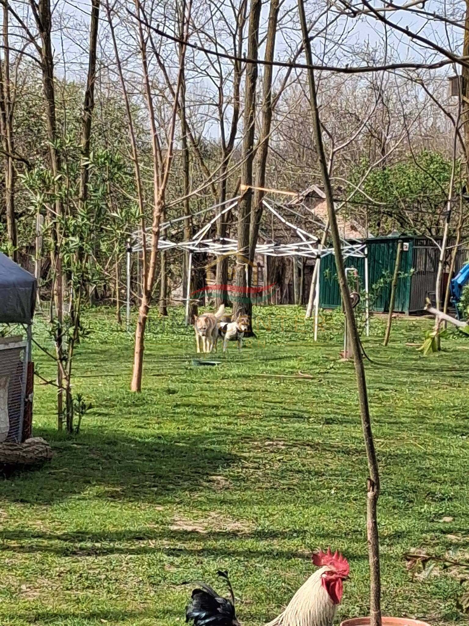 (BAA) Bio-Bauernhof in idyllischer Lage des südlichen Balaton-Hinterlandes (FB4445)