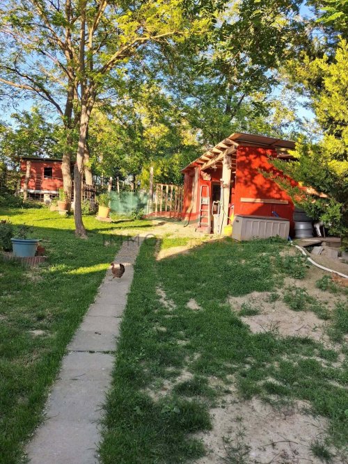 (BAA) Bio-Bauernhof in idyllischer Lage des südlichen Balaton-Hinterlandes (FB4445)