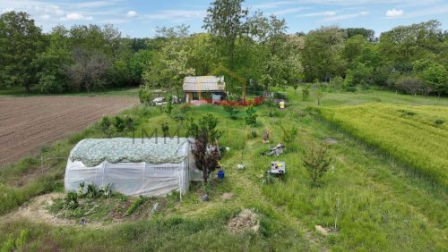 (BAA) Bio-Bauernhof in idyllischer Lage des südlichen Balaton-Hinterlandes (FB4445)