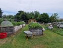 (BBB) Landhaus mit fantastischem Bauerngarten u. großem Grundstück ideal für Selbstversorger (CM033-3)