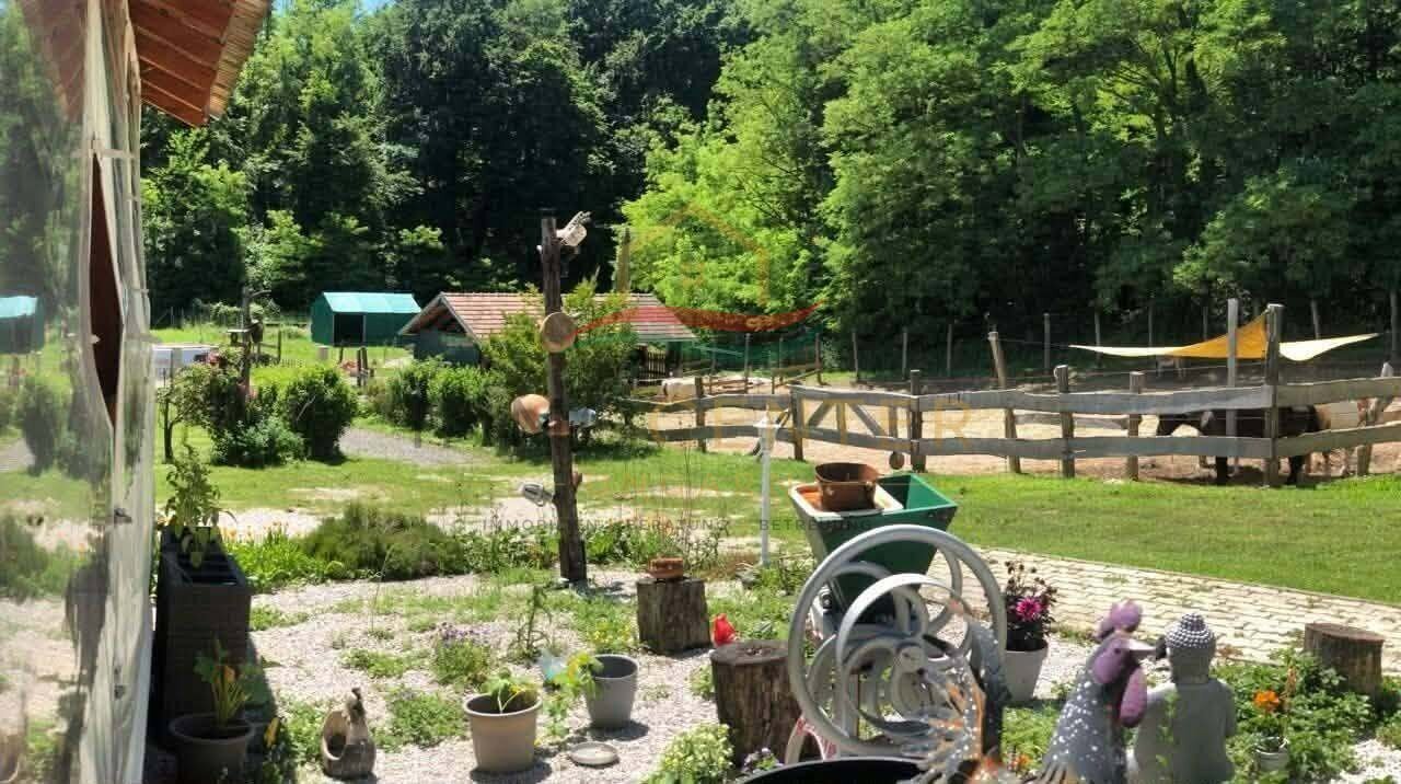 (BAA) Wunderbar ruhige Lage für Tierhaltung ideal (CM0215)