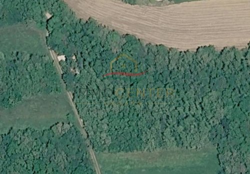 (A_A) ein tolles Waldgrundstück bei Héviz (CM2008)