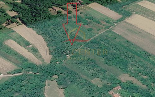 (A_A) ein tolles Waldgrundstück bei Héviz (CM2008)
