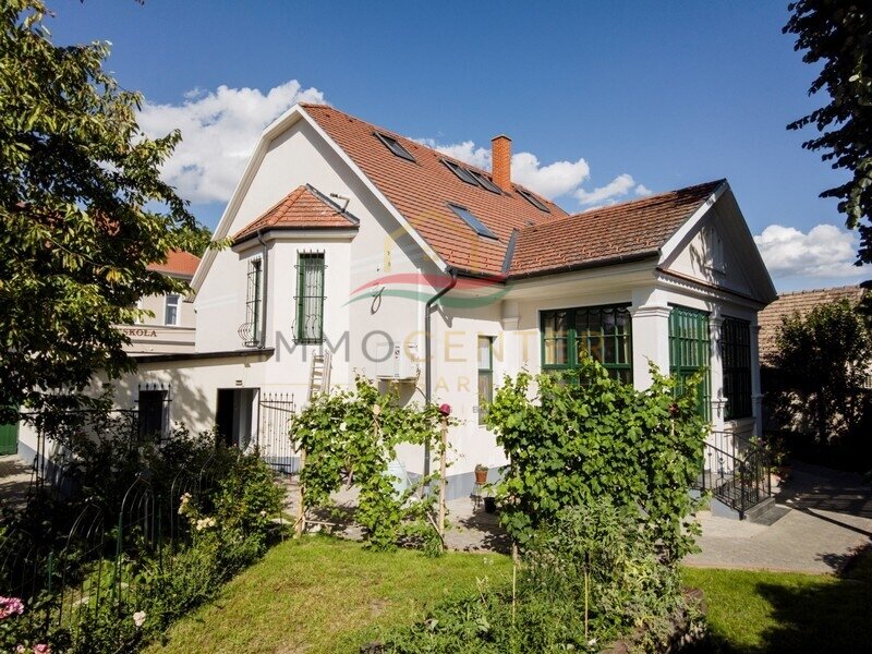 Traumhaus in West-Ungarn !