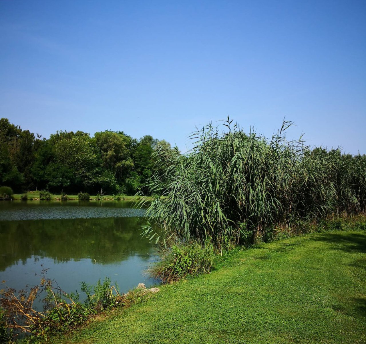 Exklusives Freizeit- und Investitionsobjekt: Gepflegter Angelsee in Top-Lage bei Pécs (KK001-3)