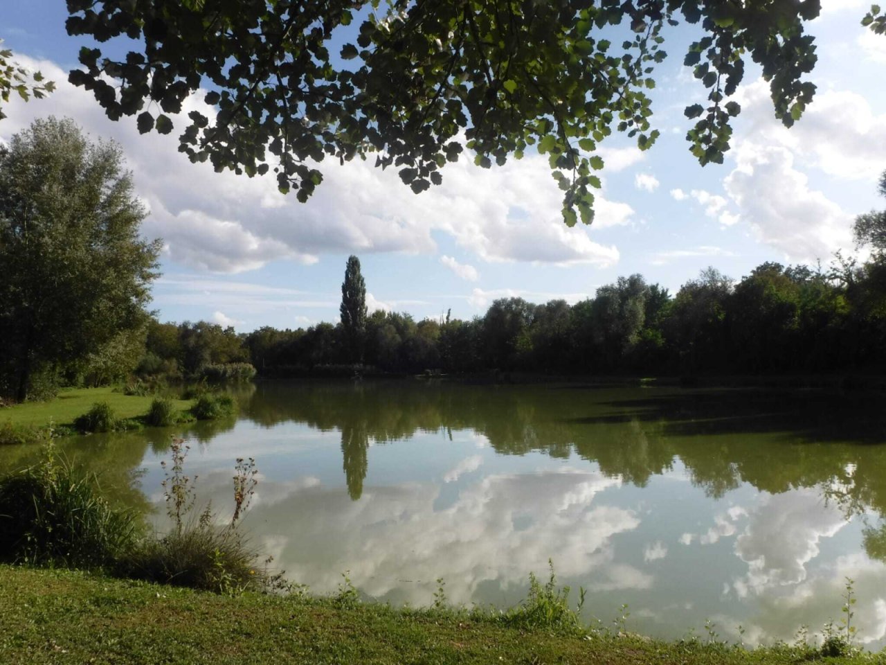 Exklusives Freizeit- und Investitionsobjekt: Gepflegter Angelsee in Top-Lage bei Pécs (KK001-3)