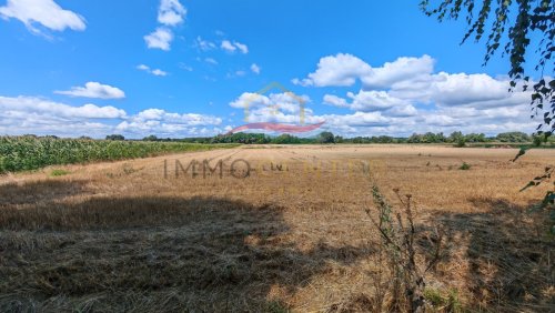 (BAA) Großzügiges Landhaus mit 4.044 m² Grundstück, Teich und zahlreichen Nebengebäuden (MW1028)
