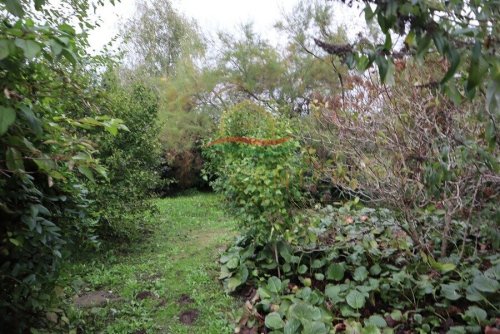 Großzügige Landresidenz nahe Győr (Lux016)