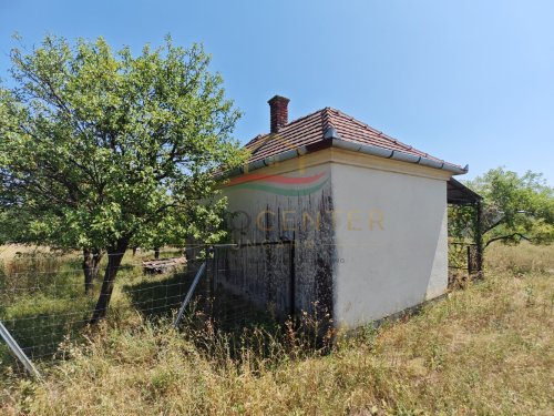 (B-A) Weinberg in quasi Alleinlage mit Pinze, eingezäuntes Grundstück, super ruhig! (CM302)